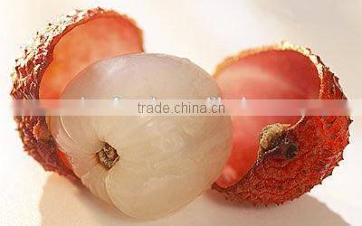 Canned fruit Canned lychee in syrup