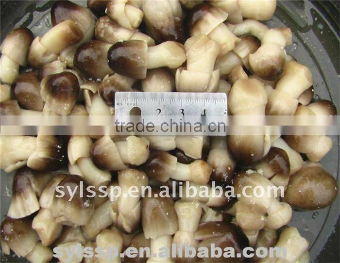 CANNED STRAW MUSHROOM