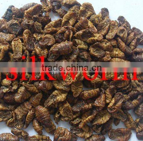 Dried silkworm Pet Food