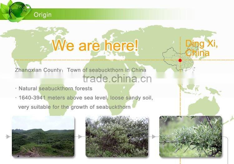 Cans of factory direct sale Seabuckthorn fruit juice