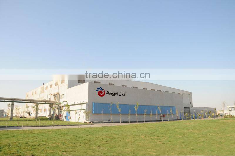 Angel yeast plant, top yeast manufacturer in the world