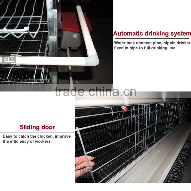 20 years lifespan A type of poultry egg chicken layer cage price