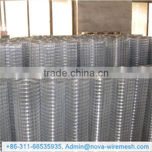 Chicken Coop welded mesh / Welded wire mesh mew product / Welded wire mesh for birds cage
