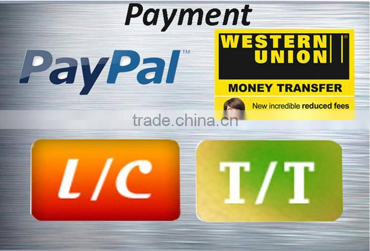 OEM Durable Using Forged Alloy Steel Gantry Crane Wheel