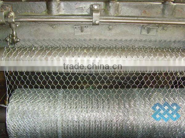 Hexagonal wire netting/chicken wire mesh