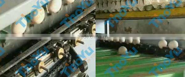 Egg grading machine hot sale
