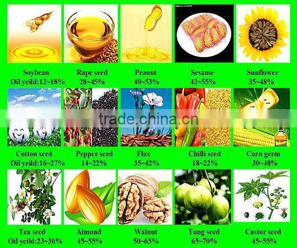 Complete Set Equipment for Making Cooking Oil Edible Oil Processing Line in Sudan