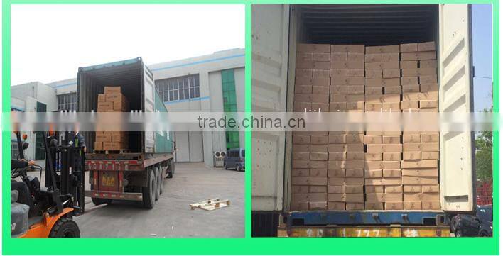 2015 Hot Sell Sterile Plastic Bags