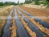 ldpe agriculture greenhouse/mulch film