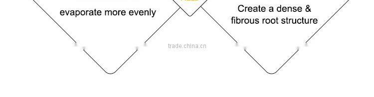 Green large grow bag vegetable smart grow bag