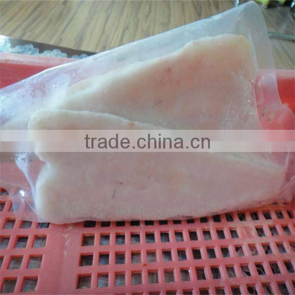 quality tuna fish frozen