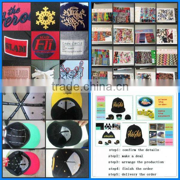 Mesh Caps and Hats/Alibaba China Caps and Hats/Blank Caps and Hats