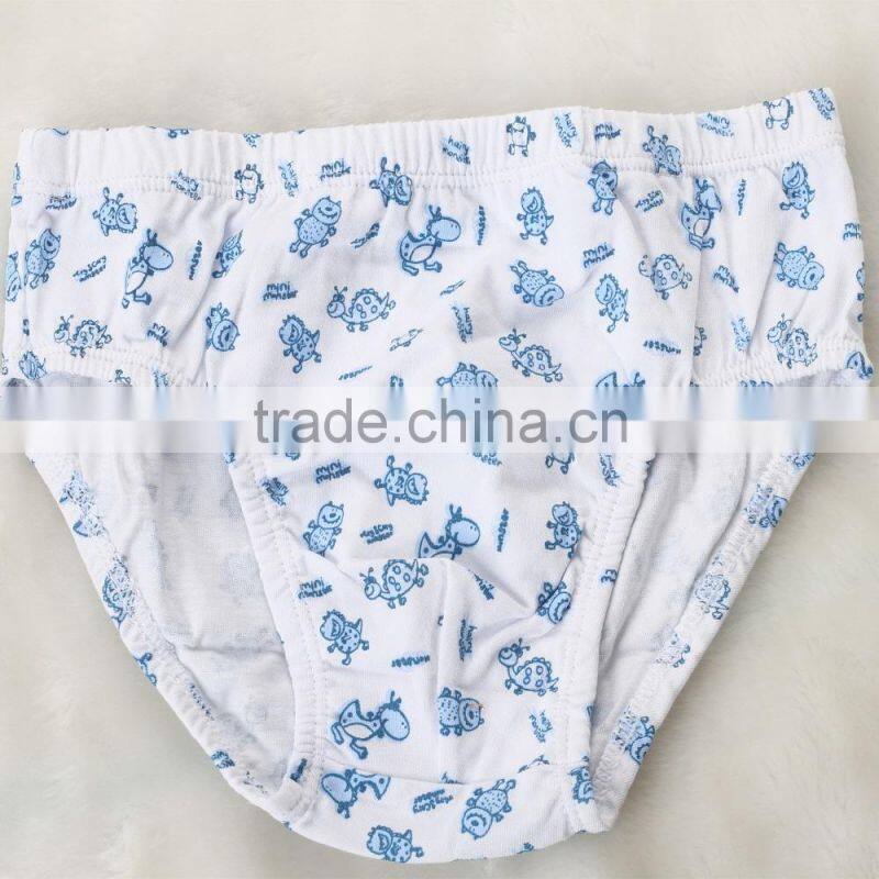 Kids Underwear Wholesale Designed Underwear Teen Sexy Boys Briefs