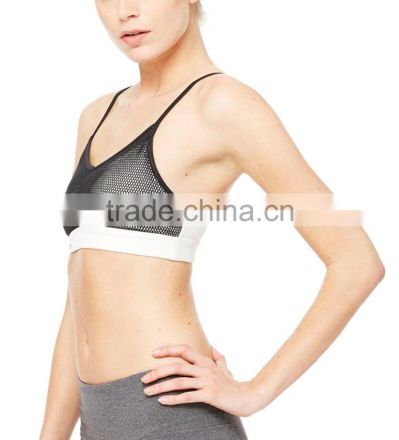 Women Fitness Gym Wear Sexy Padded Sports bra with Mesh Insert