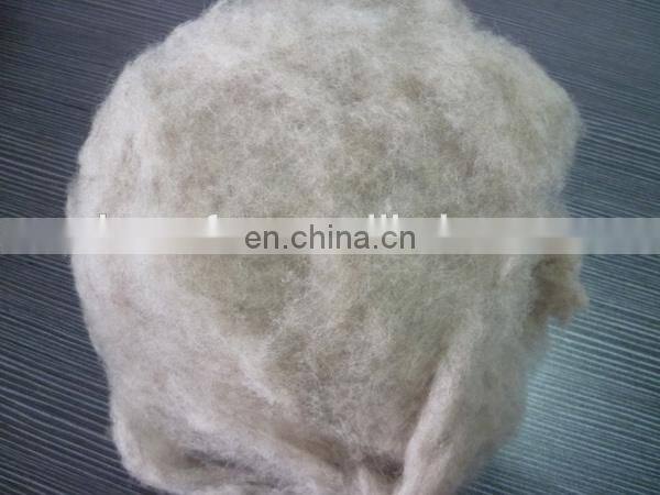 Chinese Sheep Wool Med Shade 19.5mic/30-32mm