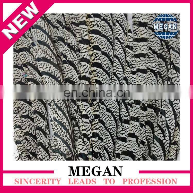 decorative long reeves pheasant feathers