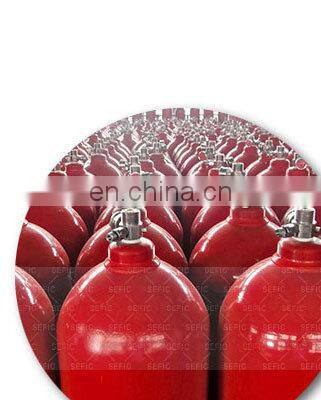 Small CO2 Gas Cylinder Used For Air-Gun/Bicycle