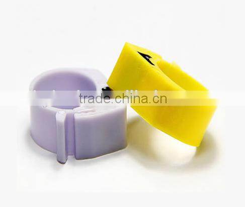 pigeon ring with card