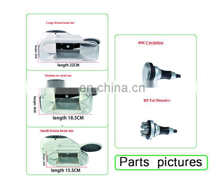 Vertical Slimming Effective 4 Handles Cryolipolysis Machine With 40k Cavitation RF system