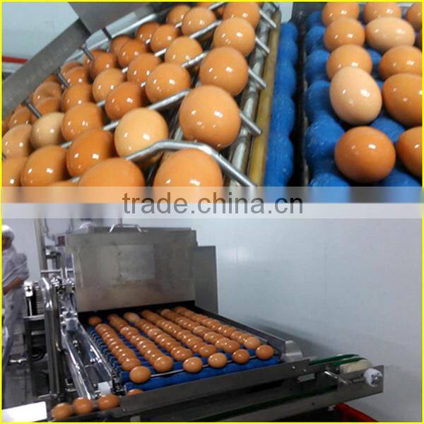 10000pcs/h egg brush washer egg processing machine , egg cleaning candling machine ,
