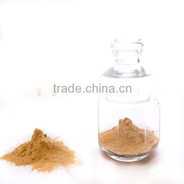 HALAL kikkoman natural fermented soy sauce powder