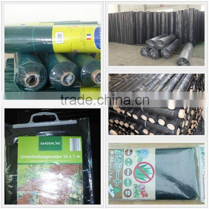 PP Garden Ground Cover anti weed mat ,China Cheap agriculture Weed control mat