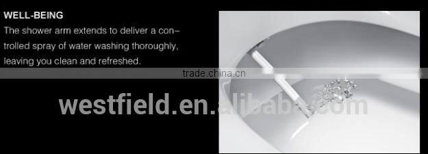 Factory Bathroom Auto-cleaning Toilet Bidet&Toilets with Built-in Bidet