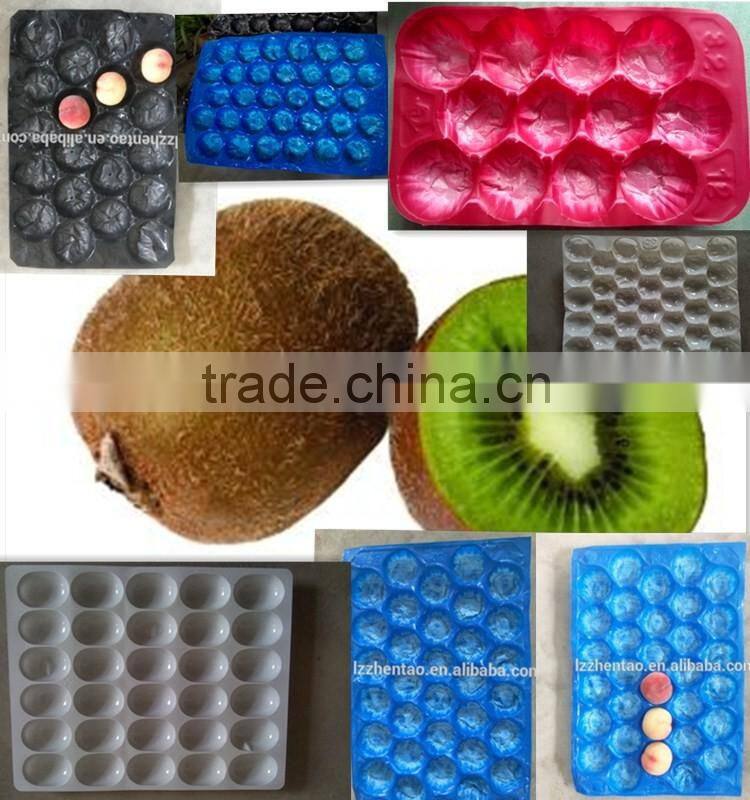 PP/PS/PET plastic tray /packaging tray /fruit tray
