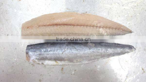 Best Quality Seafood Product Frozen Spanish Mackerel Fillet