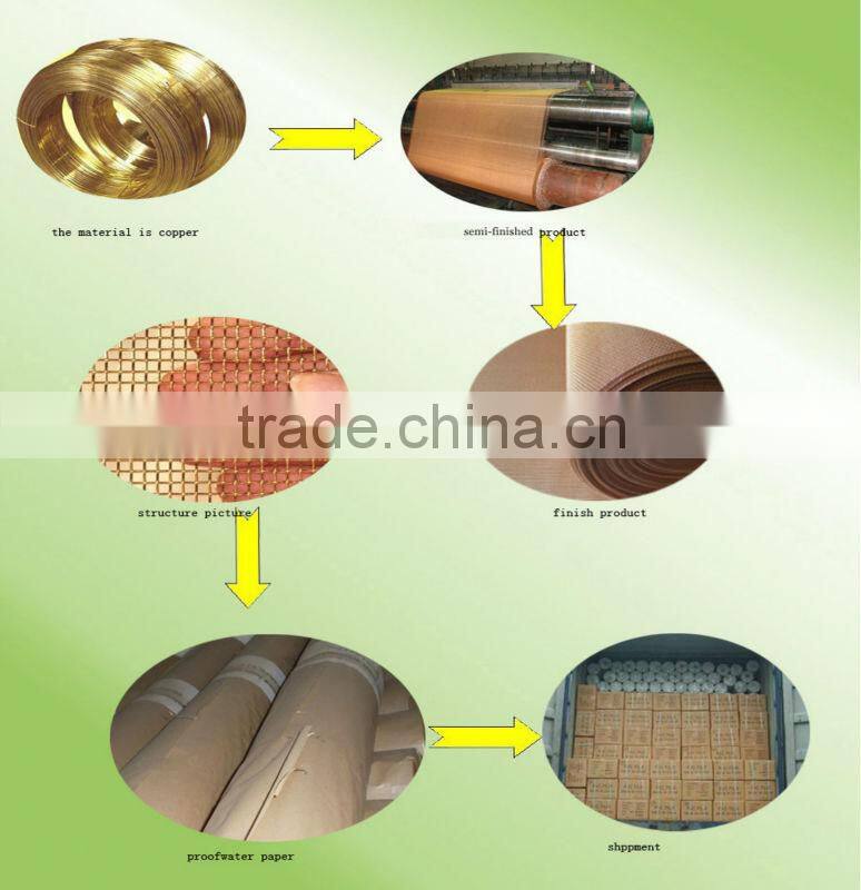 Best selling!!!phosphor brass wire mesh