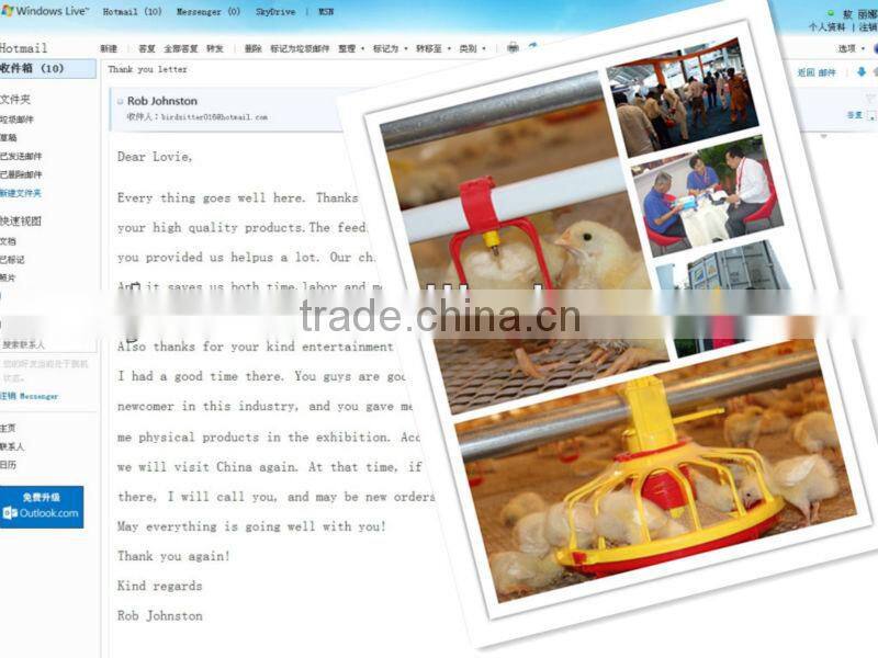 chicken automatic feeder direct selling by manufacturer