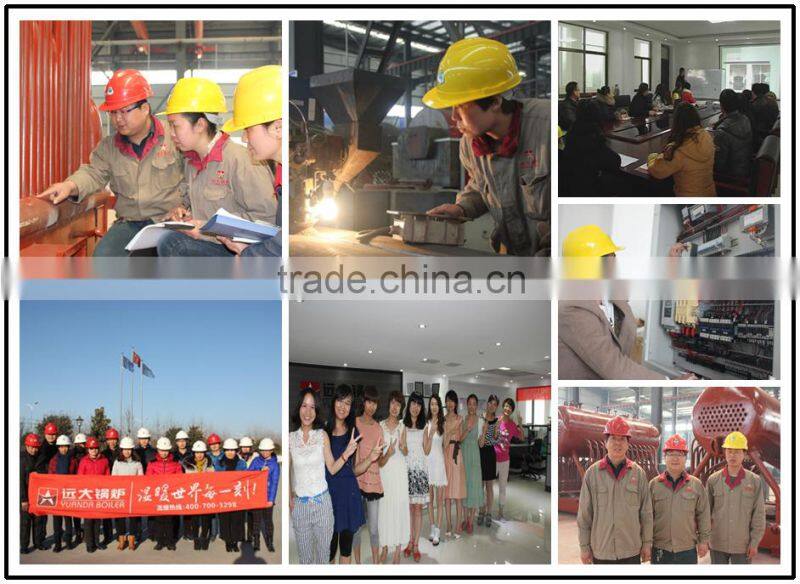 Industrial dzl series automatic chain grate coal fired hot wataer boiler for hotel and bathhouse