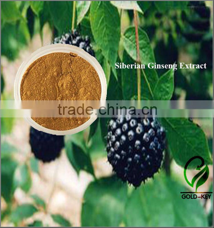 100% Natural Siberian Ginseng Extract,Siberian Ginseng Extract 0.8%/1.2% Eleutheroside B+E,0.8%/1.2% Eleutheroside B+E'