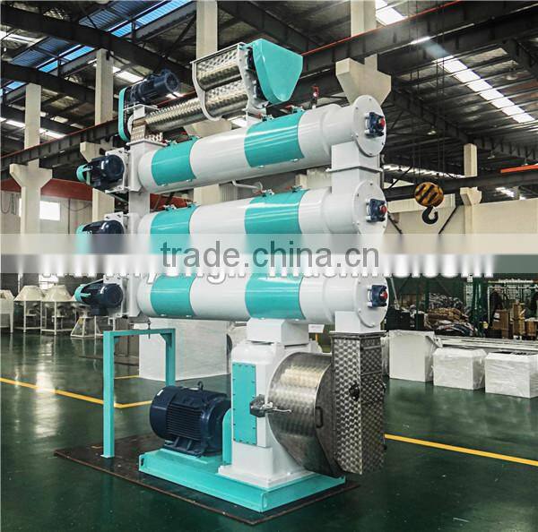 Automatic aquarium fish food feed production line equipment