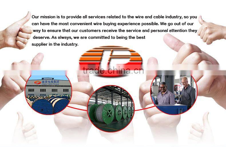 Hot Seller 300/500V PVC Insulated Wire With Reasonable Price