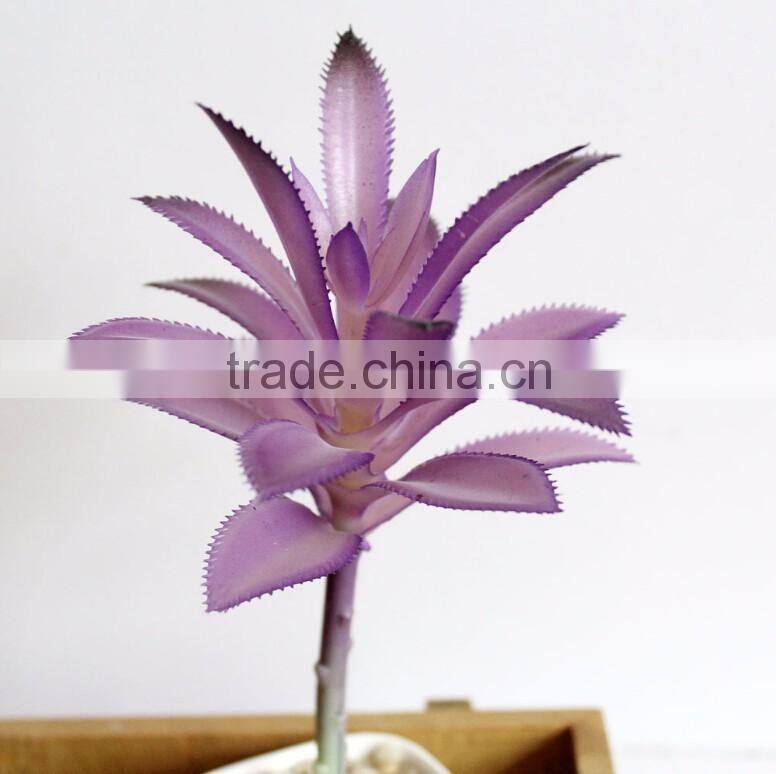 Wholesale Artificial Succulent Plants Mini Succulent Plants Succulent Plants Tropical Plants
