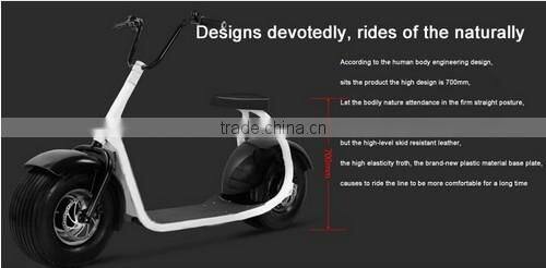 factory price citycoco 2 wheels off road smart city scooter
