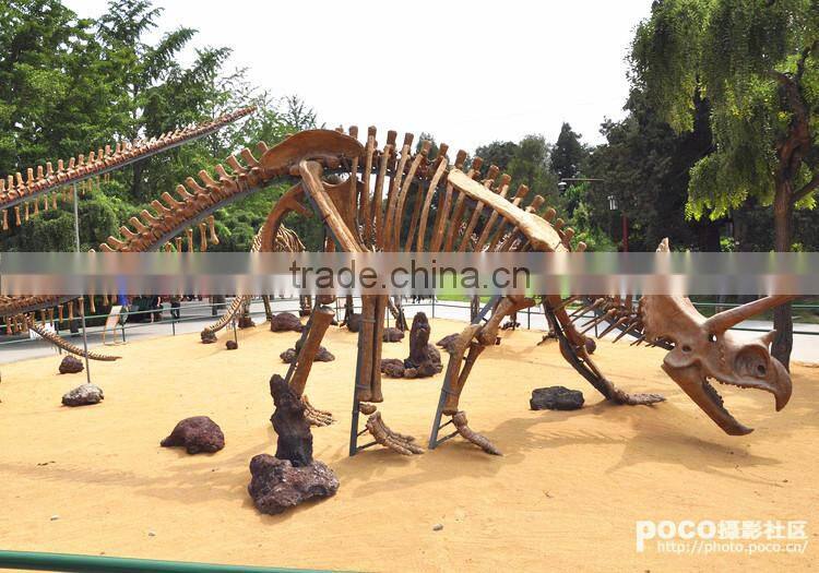 The triceratops skeleton for sale