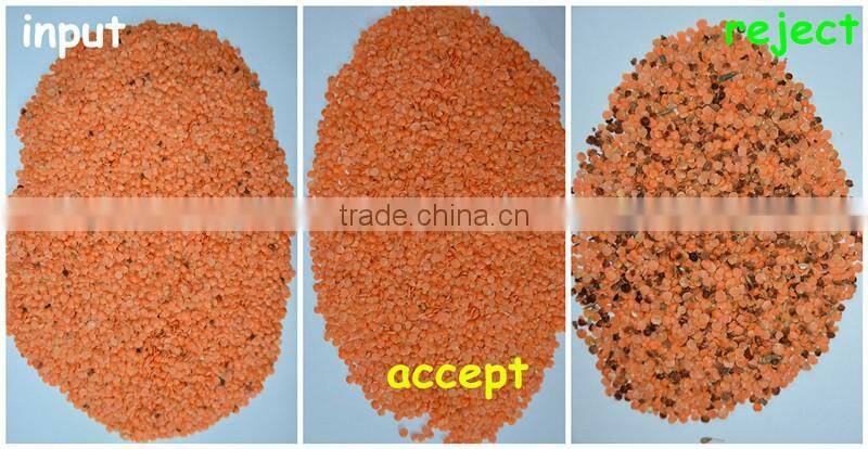 VSEE kidney bean color sorter