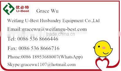 Automatic poultry equipment design for broiler chicken