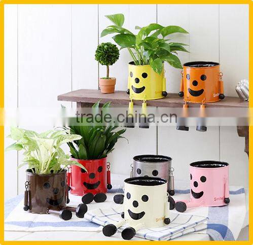 Cute and Unique plant pot Flower pot for For foliage OEM available