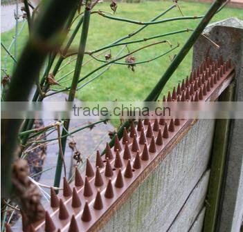 Plastic anti bird pigeon control spikes strips bird products supplies