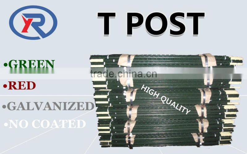 cheap price hot dipped galvanized tube/pipe made in china