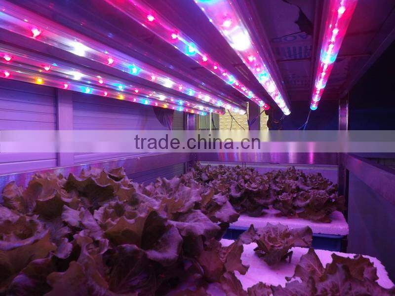 20w indoor lamp LED grow led lights 4ft full Spectrum for veg and flower