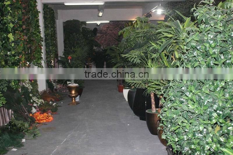 Decoration bonsai lucky tree at low price