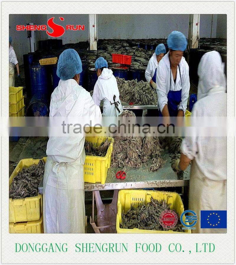 Hot sales frozen Salted Anchovy fish