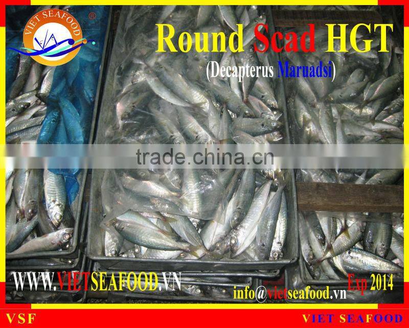 FROZEN HGT ROUND SCAD