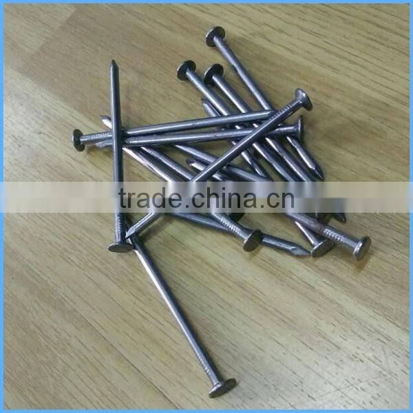 Polished Common round iron wire nails