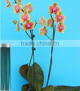 Cheap China Imports Bamboo Sticks