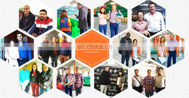 100% virgin construction Scaffolding screen safety net